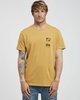 GOLD (0581)
