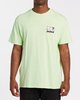 COOL MINT (2890)