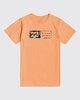 DUSTY ORANGE (2543)