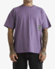 DUSTY GRAPE (skw0)