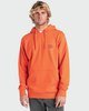 DUSTY ORANGE (2543)