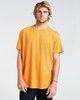 DUSTY ORANGE (2543)