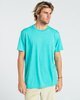DARK MINT (3187)
