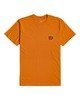 DUSTY ORANGE (2543)
