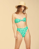 CLOVER (0135)