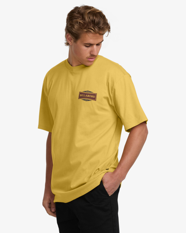 2 Walled - Short Sleeves T-Shirt for Men Yellow 24A351527 Billabong