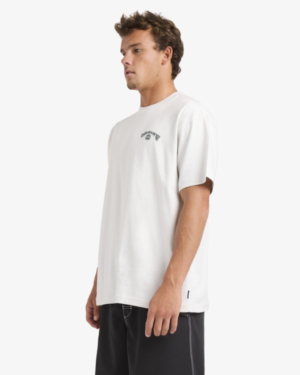 3 Spec 73 Bio Arch Og - T-shirt met korte mouwen voor Heren Gray 24A351670 Billabong