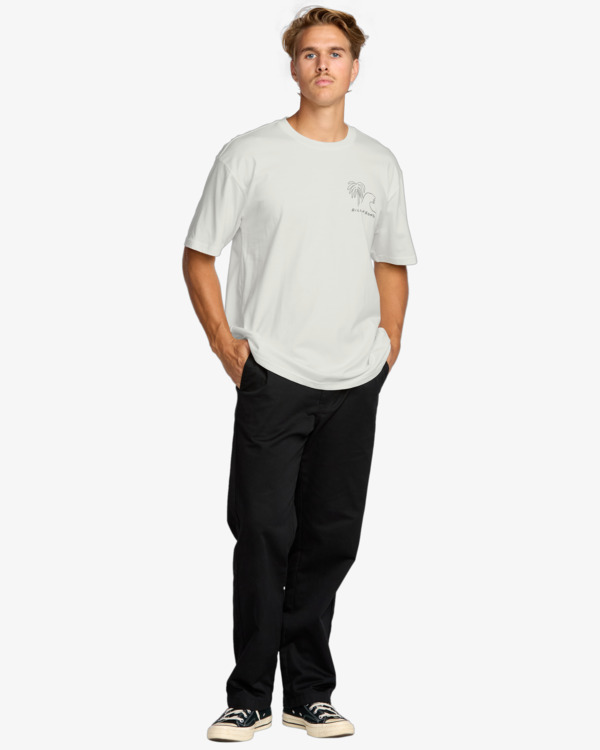 2 Scenes Regular - T-Shirt à manches courtes pour Homme Blanc 24A353521 Billabong