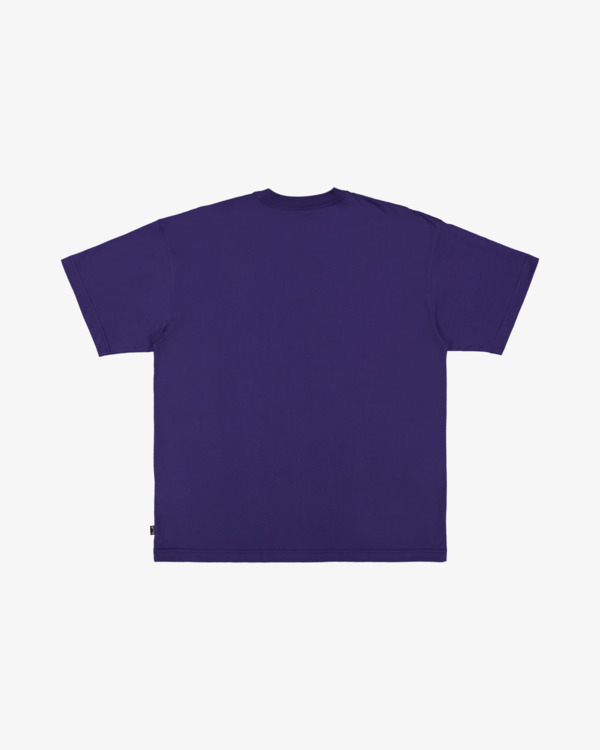 6 Sword Sharpening Og - Maglietta a maniche corte da Uomo Purple 24A354570 Billabong