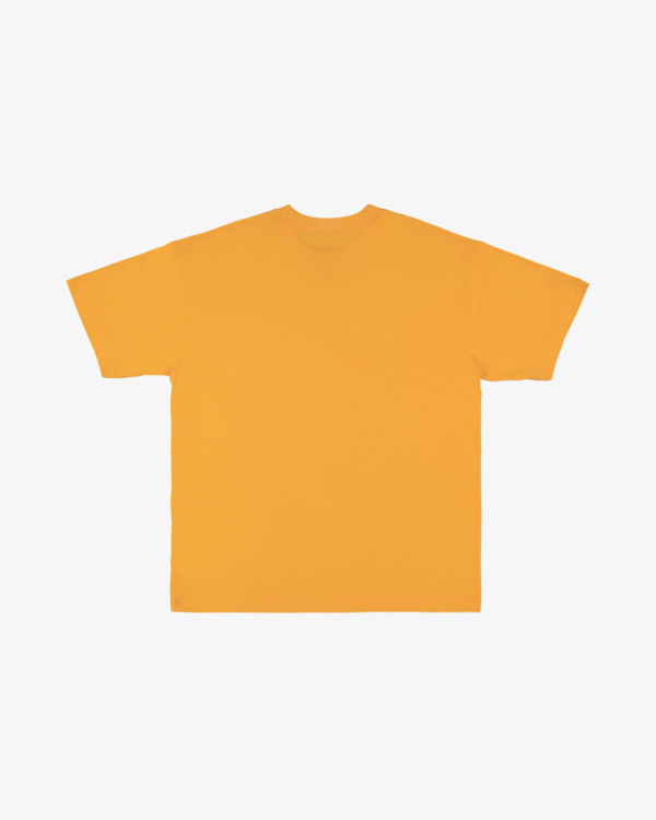 1 Otis Diamond - T-shirt met korte mouwen voor Heren Multi 24A433594 Billabong
