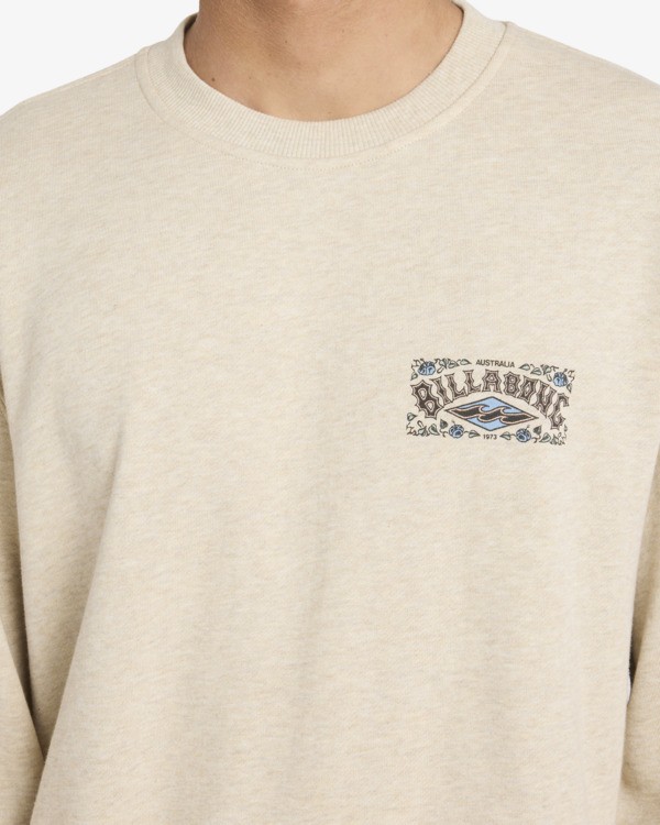 4 Short Sands - Sweatshirt f&uuml;r M&auml;nner Braun 24A461602 Billabong