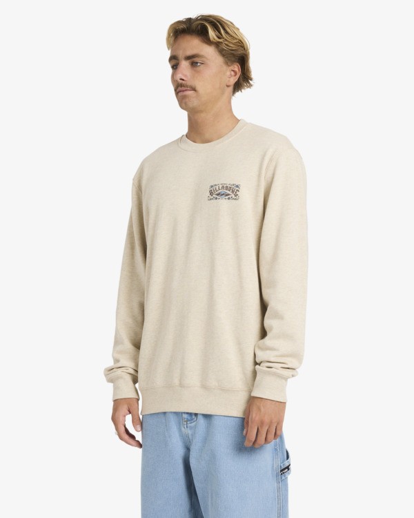 3 Short Sands - Sweatshirt f&uuml;r M&auml;nner Braun 24A461602 Billabong