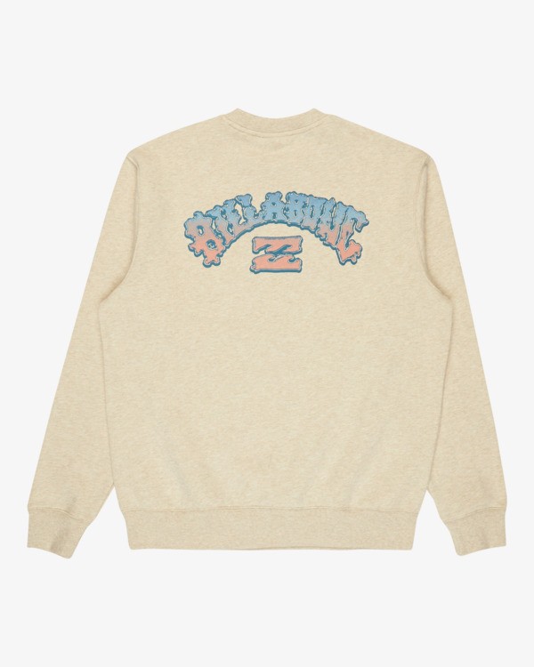 6 Short Sands - Sweatshirt für Männer Braun 24A462503 Billabong