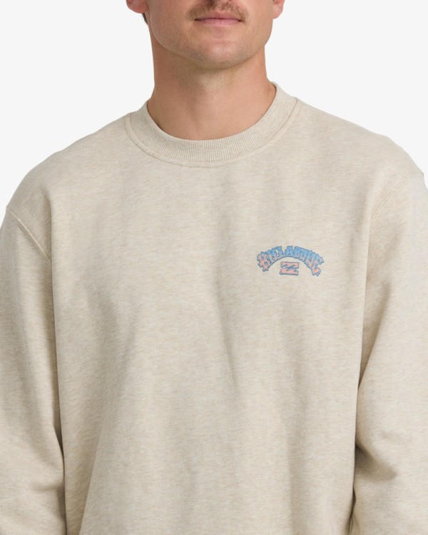 1 Short Sands - Sweatshirt für Männer Braun 24A462503 Billabong