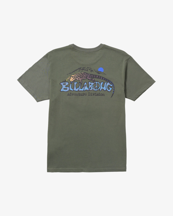 5 Lizard Mountain - Short Sleeves T-Shirt for Men Gray 24A501545 Billabong