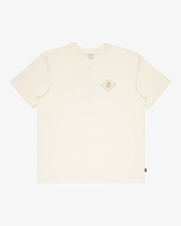 5 Agave A/DIV Premium - Short Sleeve T-Shirt for Men White 24A501607 Billabong