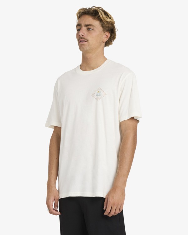 3 Agave A/DIV Premium - Short Sleeve T-Shirt for Men White 24A501607 Billabong