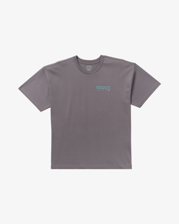 6 Grow Og A/Div - T-Shirt für Männer Grau 24A503507 Billabong