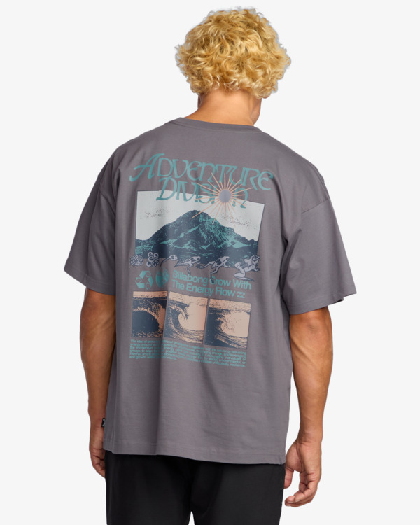 2 Grow Og A/Div - T-Shirt für Männer Grau 24A503507 Billabong