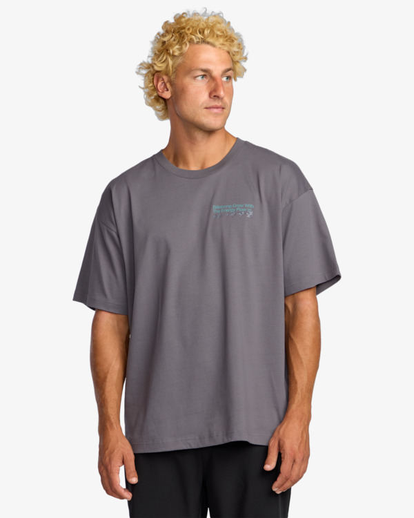 1 Grow Og A/Div - T-Shirt für Männer Grau 24A503507 Billabong