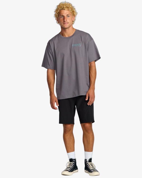 3 Grow Og A/Div - T-Shirt für Männer Grau 24A503507 Billabong
