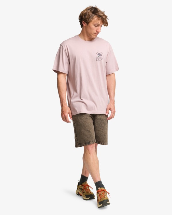 2 Portal Premium - T-Shirt f&uuml;r M&auml;nner Violett 24A521606 Billabong