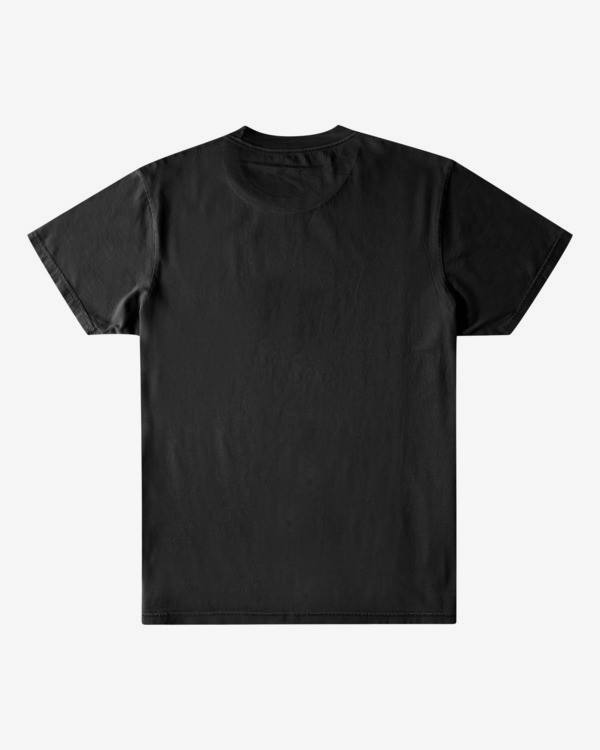 1 DISCIPLINES SS WW  A1SS20BIMU Billabong