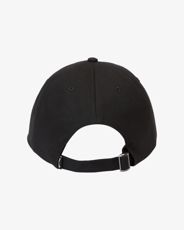 2 Global Arch - Strapback-Cap für Männer  ABYHA00471 Billabong