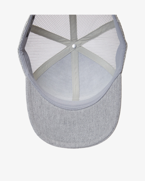 3 Walled - Trucker Cap for Men Grey ABYHA00475 Billabong