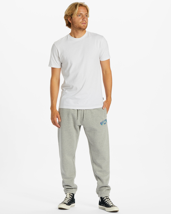 1 Core Arch Gris ABYNP00176 Billabong