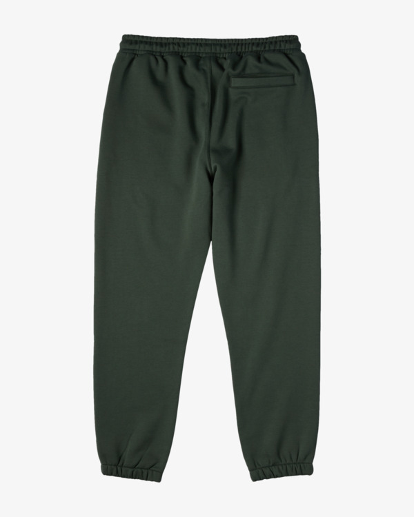 4 Compass - Elastic Waist Pants for Men Green ABYNP00194 Billabong