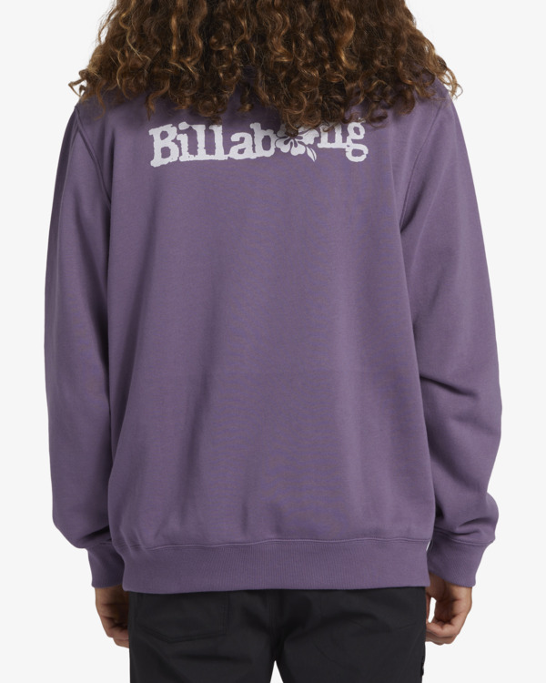 2 Short Sands - Hoody voor Heren Purple ABYSF00124 Billabong