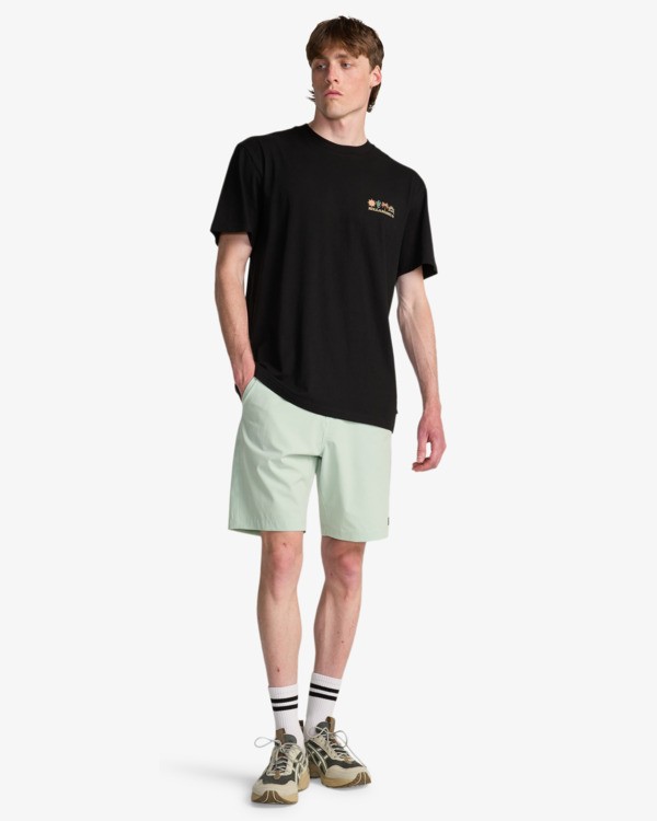 1 Crossfire Mid - Submersible Shorts for Men Green ABYWS00189 Billabong