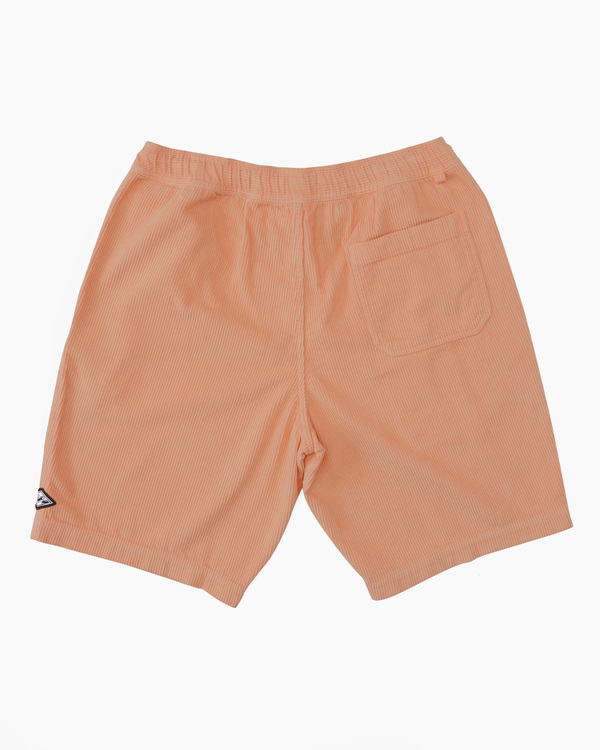 5 Larry - Short en velours pour Homme Rose ABYWS00208 Billabong
