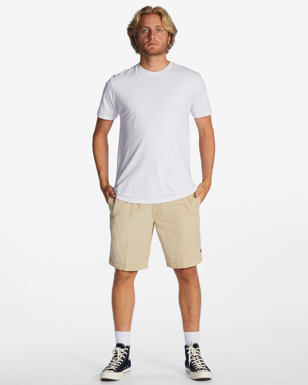 2 Larry Beige ABYWS00208 Billabong