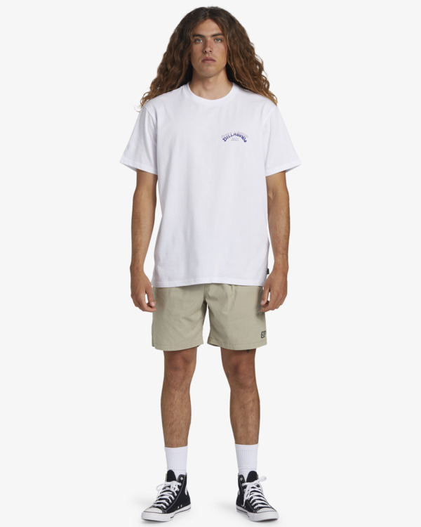 1 Mario Stretch Elastic 17" Gris ABYWS00224 Billabong