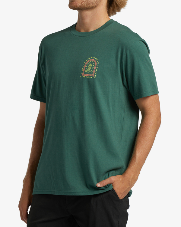 3 Passage - T-Shirt for Men Yellow ABYZT01862 Billabong