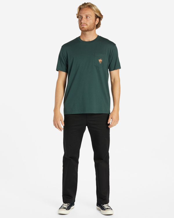 1 Tropics - Taschen-T-Shirt für Männer Grün ABYZT02204 Billabong