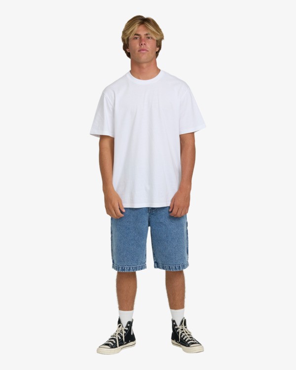 1 Bad Dog 22" Blue BL000558 Billabong