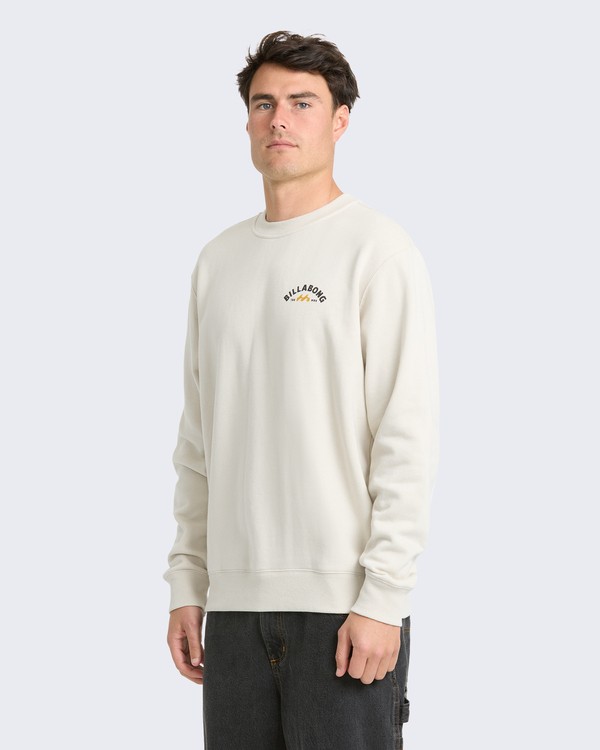 1 The Goodsneck Beige BL001148M Billabong