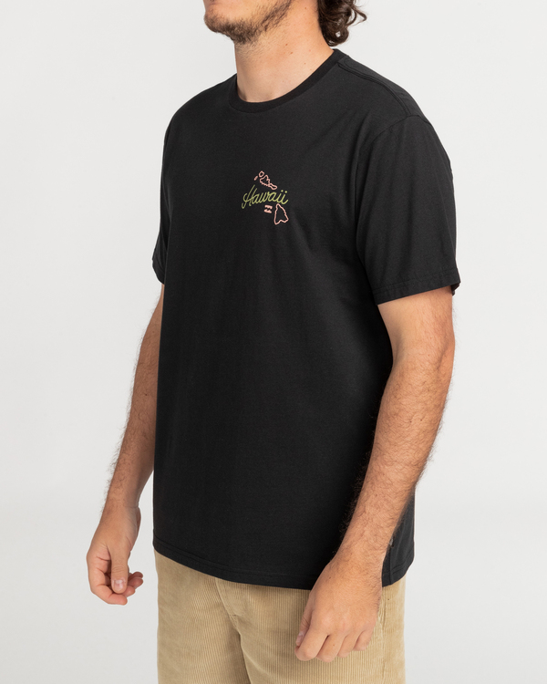 1 Dreamy Place - Short Sleeve T-Shirt for Men  C1SS18BIP2 Billabong