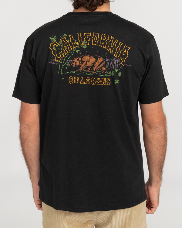 3 Arch Dreamy Place - Short Sleeve T-Shirt for Men  C1SS33BIP2 Billabong