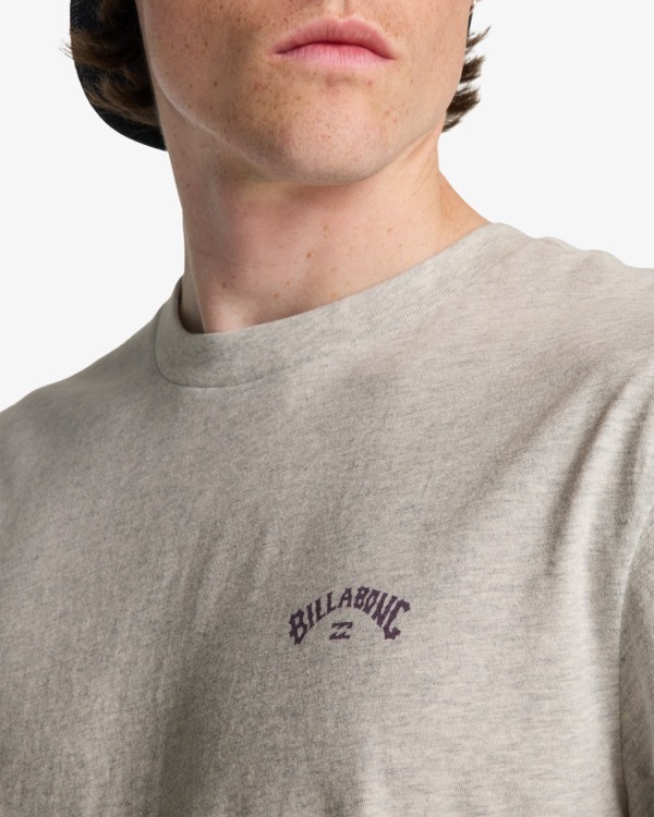 5 Arch Wave - T-shirt met korte mouw voor Heren Gray C1SS65BIP2 Billabong