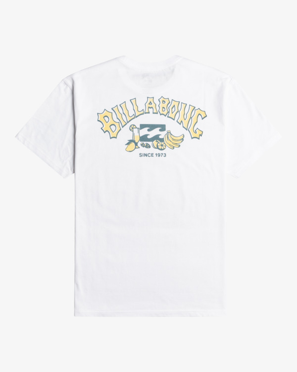 6 Theme Arch - T-Shirt für Männer Weiss C1SS68BIP2 Billabong