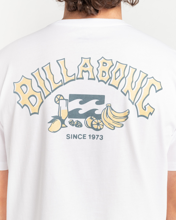 4 Theme Arch - T-Shirt für Männer Weiss C1SS68BIP2 Billabong