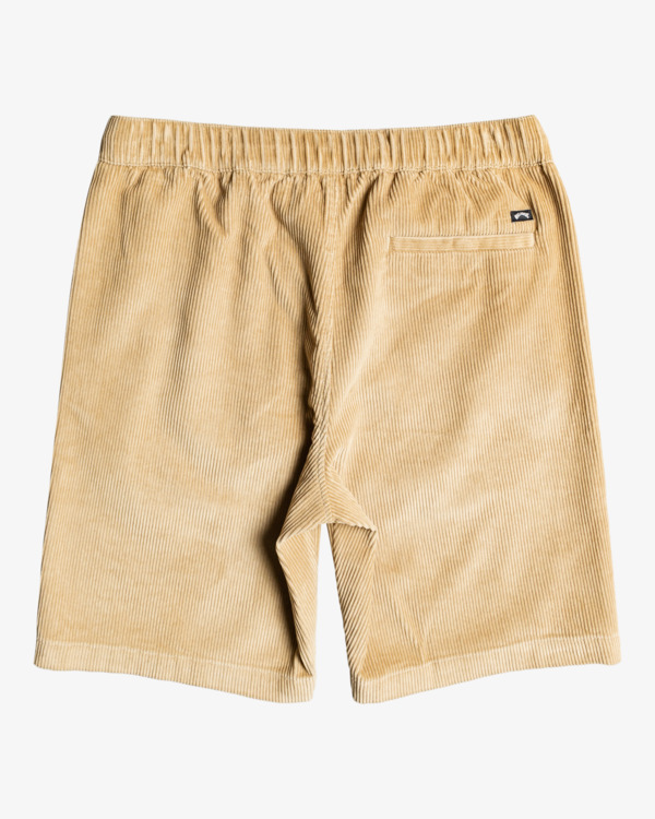 Billabong bad dog shorts online