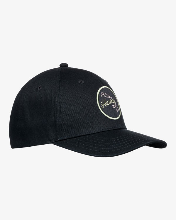 2 Dreamy Place - Snapback Cap for Men  C5CM14BIP2 Billabong