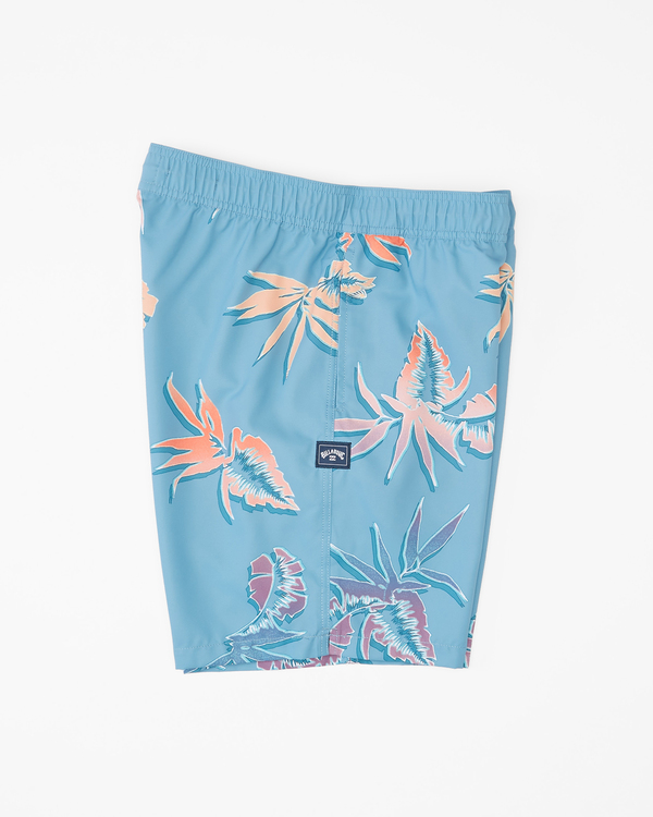 2 Layback 17" - Boardshorts für Männer Blau D1LB13BIS2 Billabong