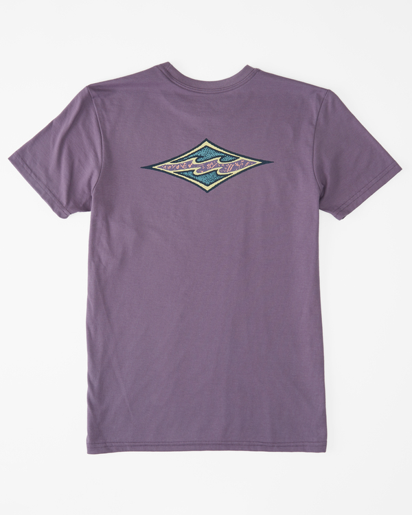 1 Camiseta serigrafiada para Para Hombre Joven  D1SS11BIS2 Billabong