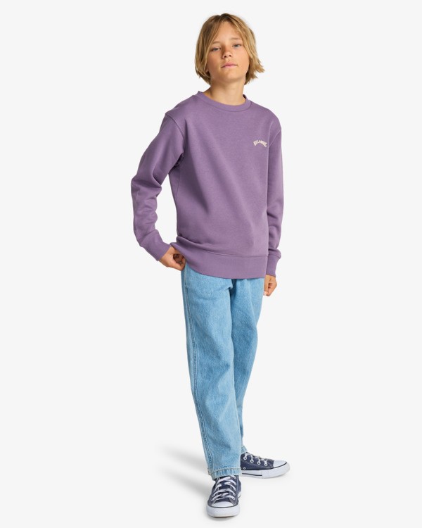 1 Arch Cr - Sudadera de cuello redondo para chicos 8-16 Violeta EBBFT00122 Billabong